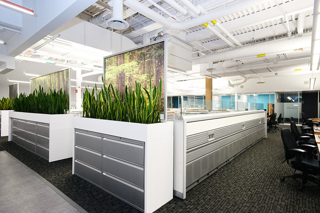 Enbridge North York Annex Office Renovations in… Magil Construction